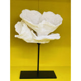 Corallia Sculpture