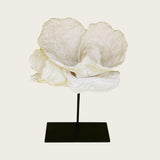 Corallia Sculpture