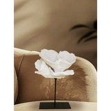 Corallia Sculpture